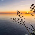 Amazing In Kučine